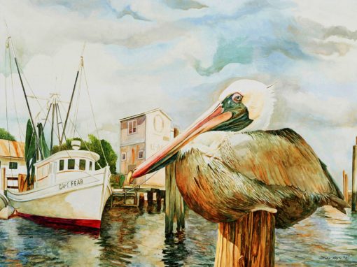 Southport Pelican